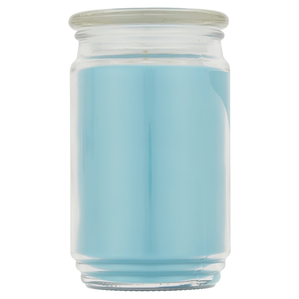 Single Wick Scented Glass Jar  - Candle Supplies Glass Jars 评论和价格
